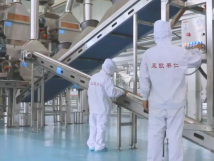 2025年的第一個(gè)月，承德亞歐果仁有限公司在山杏產(chǎn)業(yè)的道路上持續(xù)奮進(jìn)，展現(xiàn)出蓬勃的發(fā)展活力。